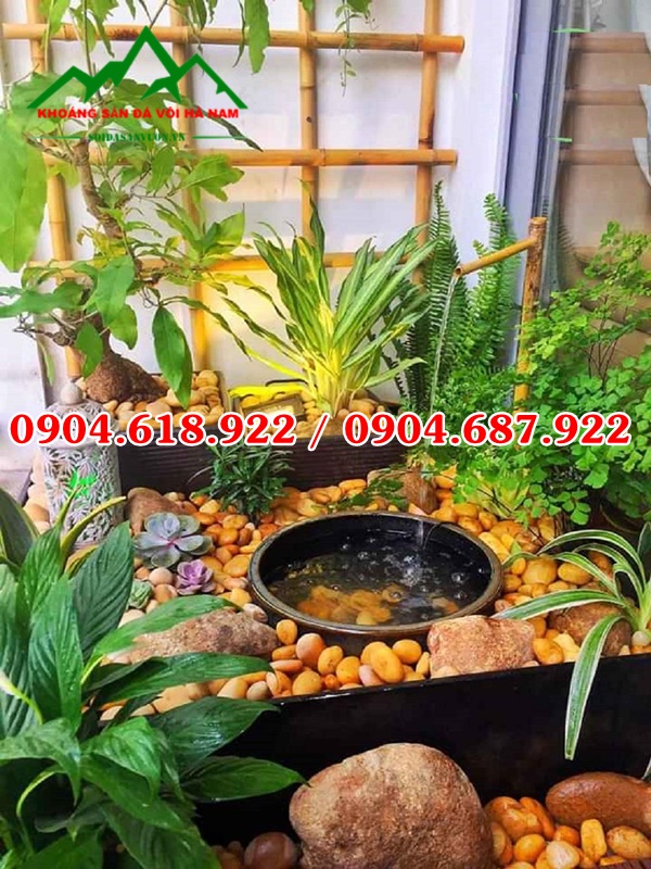 Soi-cuoi-vang-tu-nhien (8)