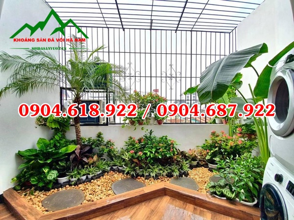 Soi-cuoi-vang-tu-nhien (9)