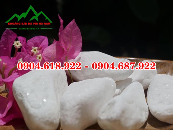 Soi-quay-nhan-tao (16)