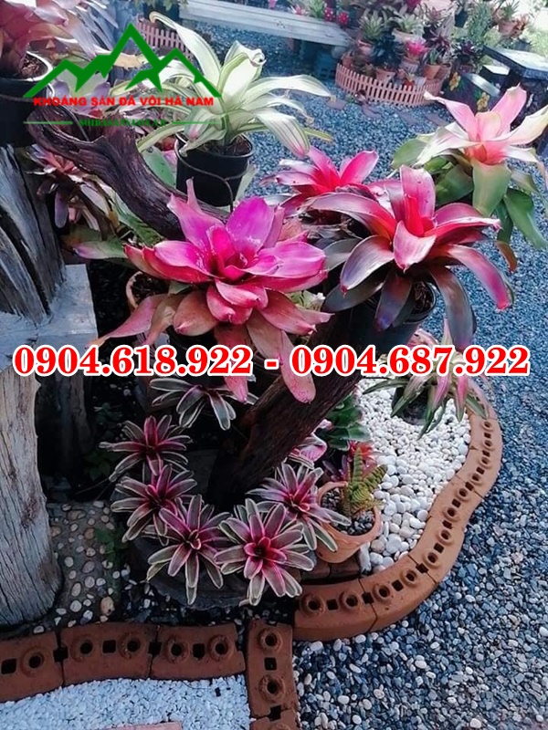 Soi-tu-nhien-trang-tri-san-vuon (11)