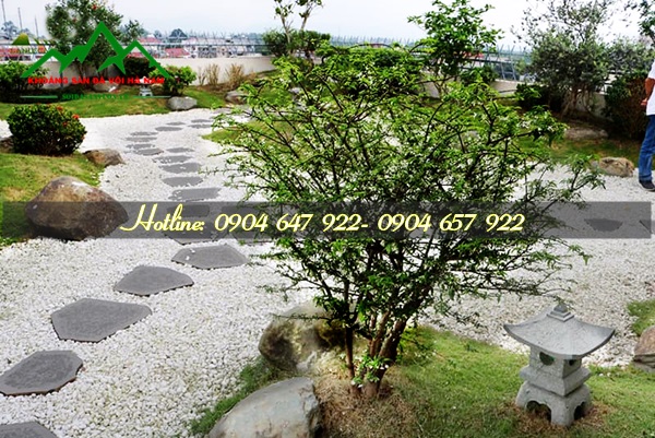 Đábazan dặm bước sân vườn