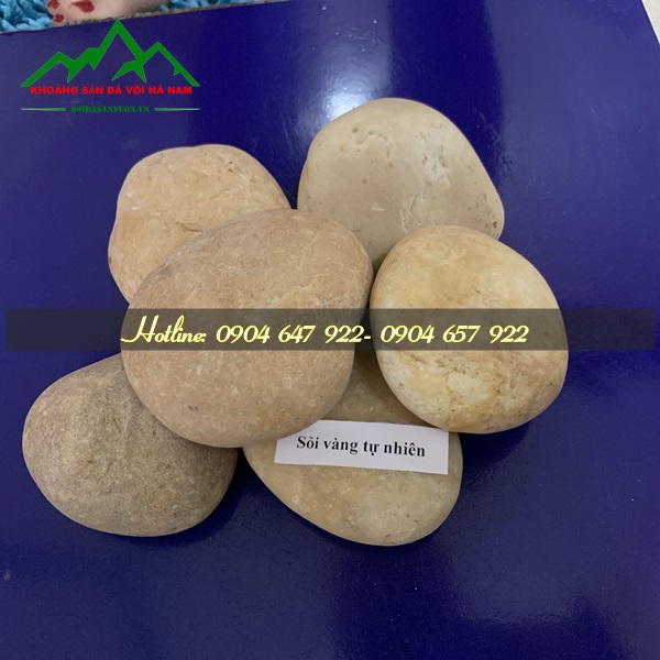 Mua bán đá sỏi vàng tự nhiên