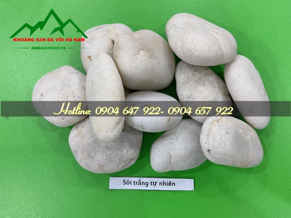 Sỏi trắng tự nhiên Sỏi trắng tự nhiên trang trí