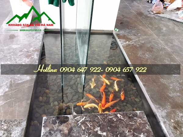 Trang trí hồ cá bằng sỏi đen Trang trí hồ cá bằng sỏi