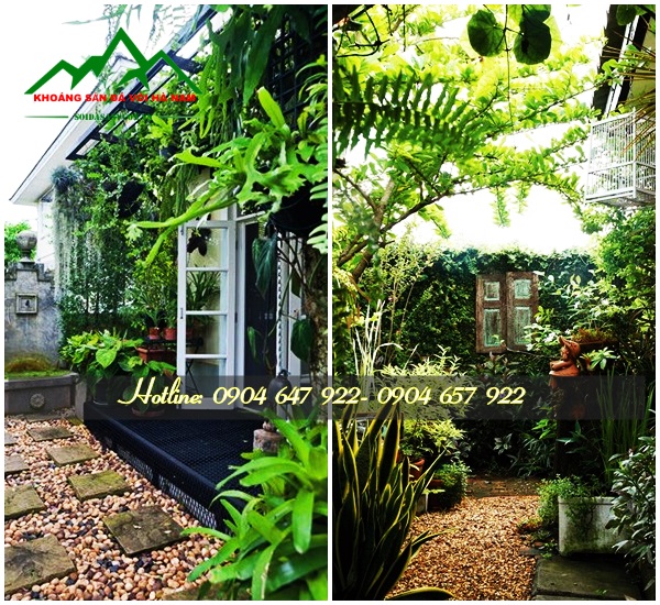 Sỏi vàng trang trí sân vườn