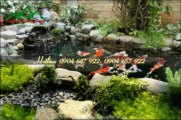 Trang trí hồ cá bằng sỏi đen