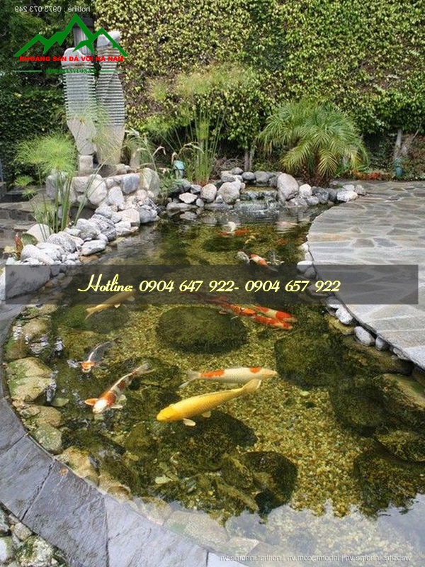 Trang trí hồ cá bằng sỏi biển