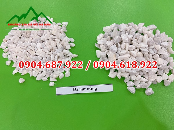 đá hạt trắng sản xuấ gạch terrazzo
