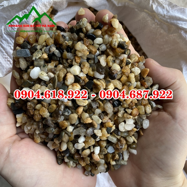 Soi-trong-cay-sen-da (14)