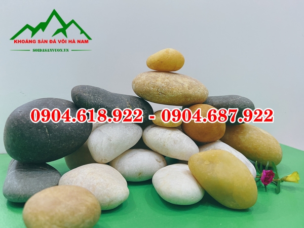 Soi-trang-tri-chau-cay 3