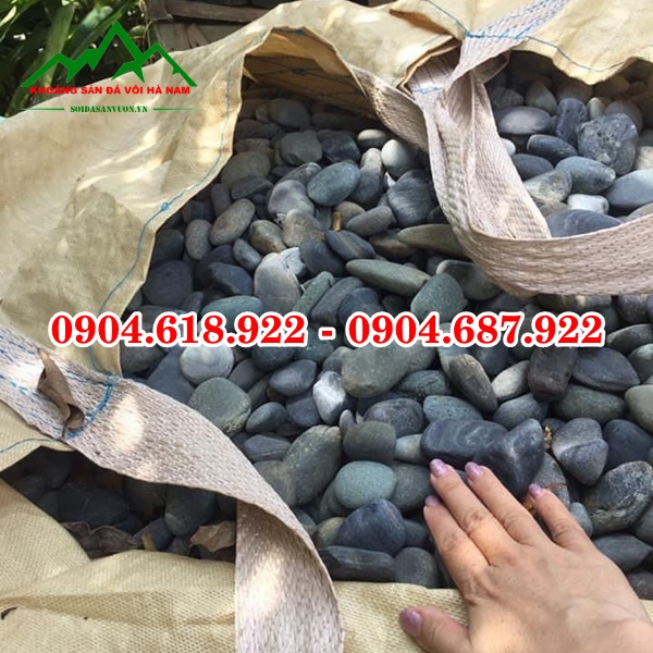 Soi-cuoi-tu-nhien (51)