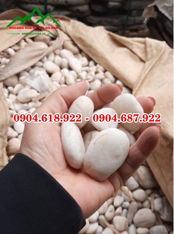 Soi-cuoi-tu-nhien (53)