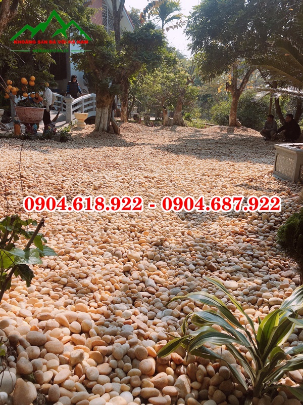 Soi-cuoi-tu-nhien (66)