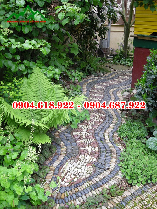 Soi-cuoi-tu-nhien (68)