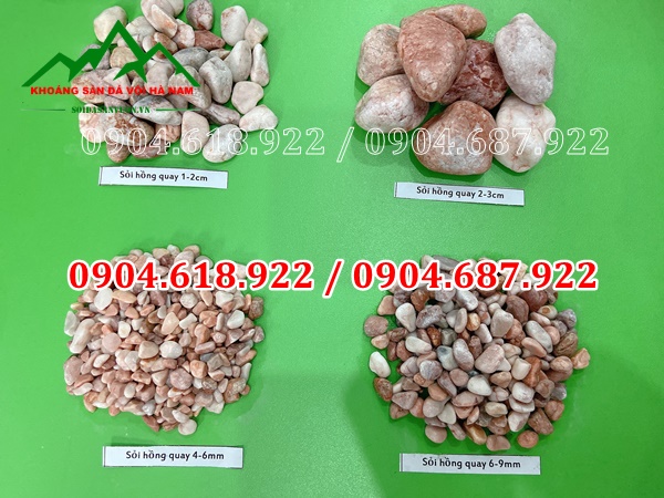 Soi-trong-cay-sen-da (8)