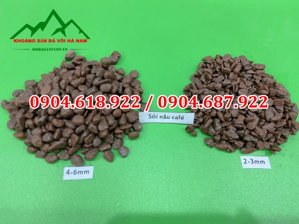 Soi-trong-cay-sen-da (7)