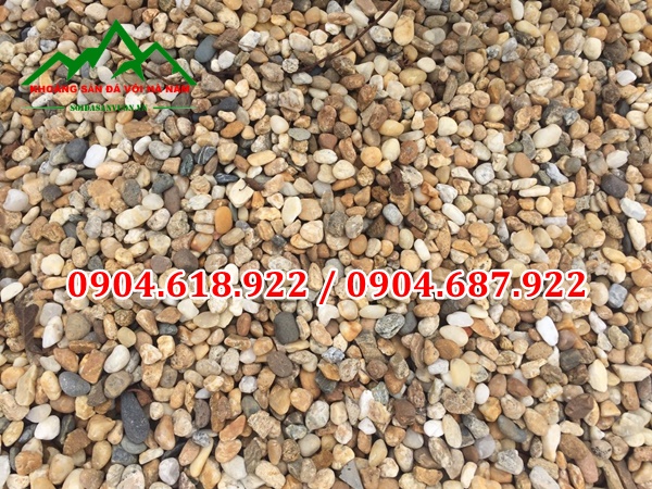 Soi-trang-tri-chau-cay 2