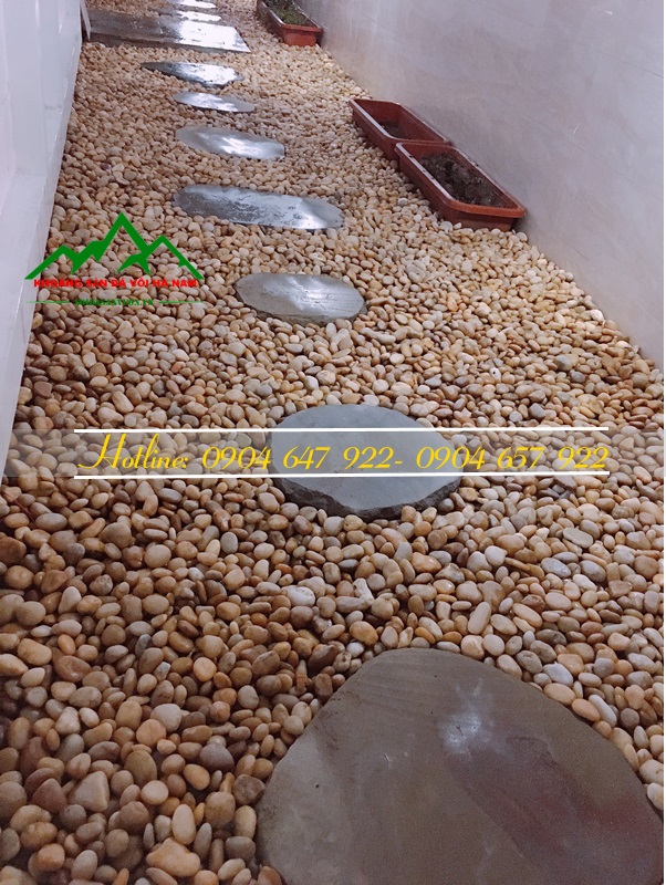 sỏi vàng rải sân vườn