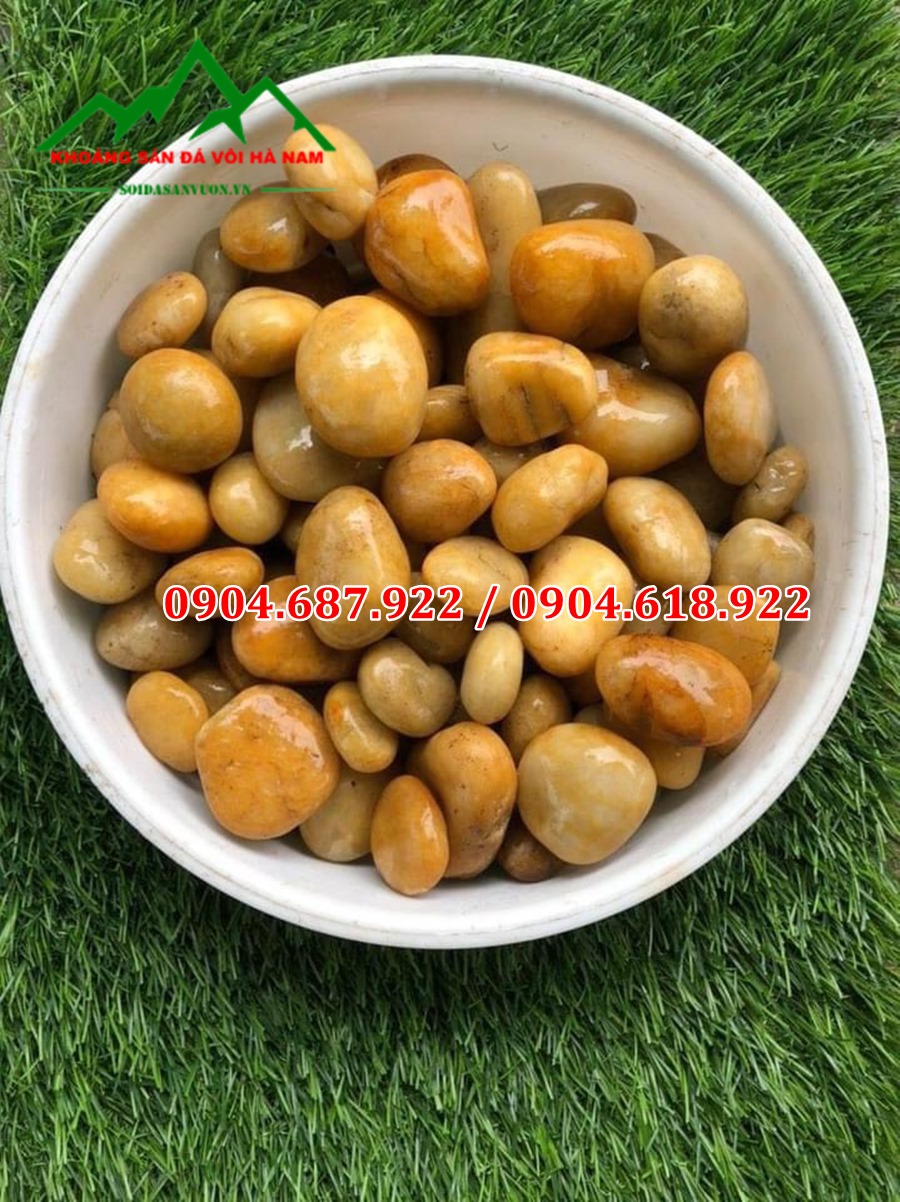 sỏi vàng trang trí bể bơi