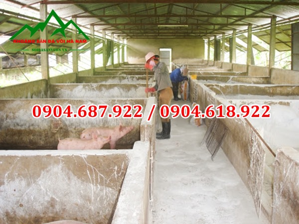 sử dụng vôi trong xử lý chuồng trại
