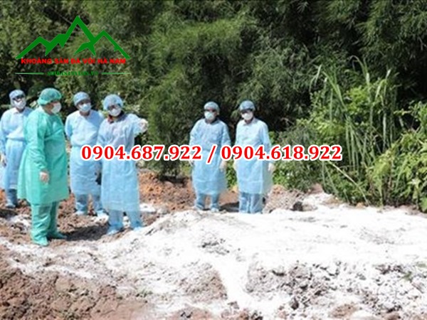 vôi bột xử lý tiêu hủy mầm bệnh