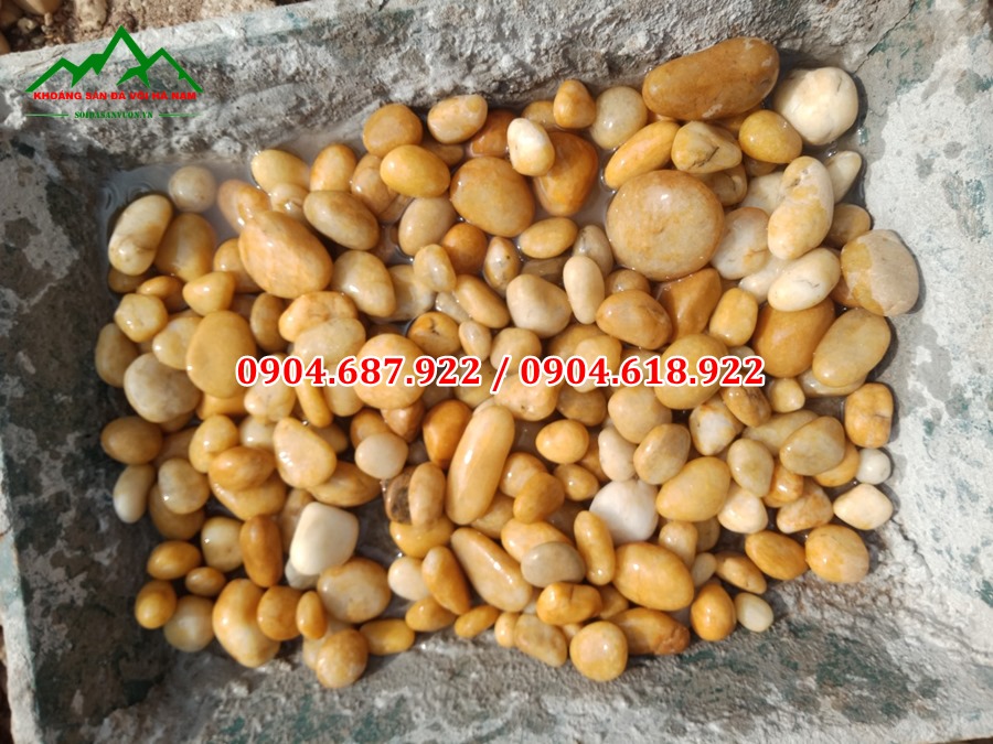 sỏi vàng tự nhiên tại Quảng Ninh