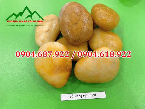 sỏi vàng tự nhiên gắn tường