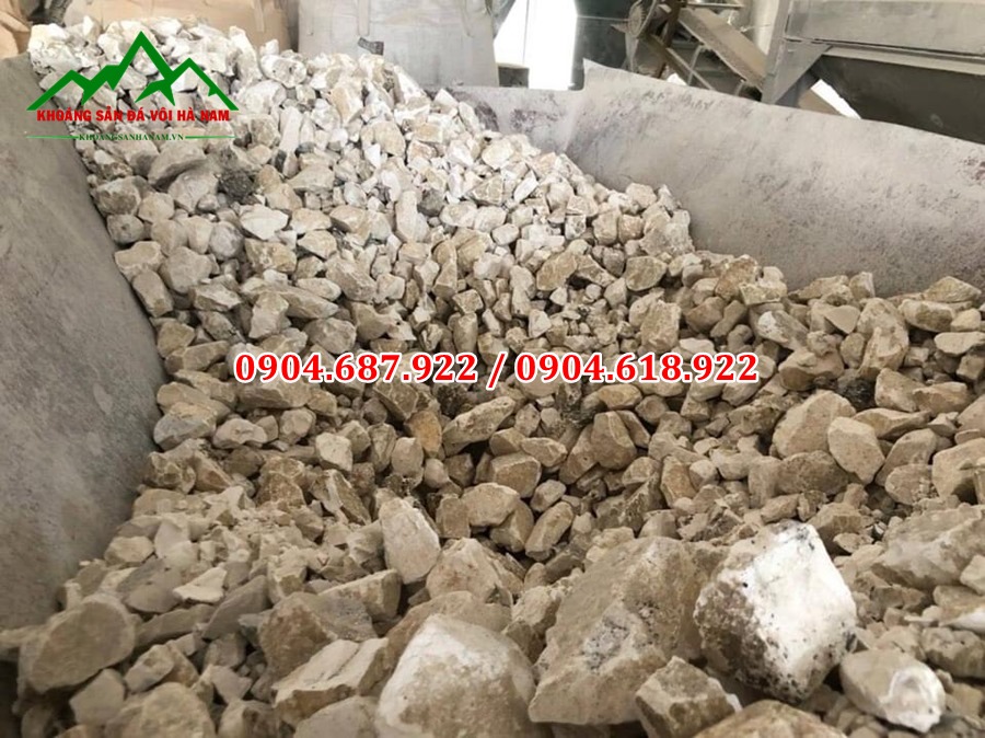 Voi cục nông nghiệp