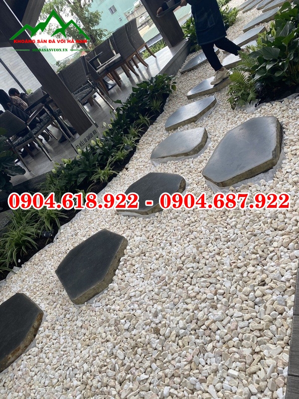 Da-buoc-dao-san-vuon (16)