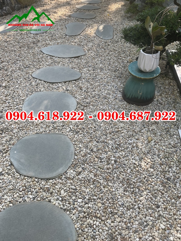 Da-buoc-dao-san-vuon (13)