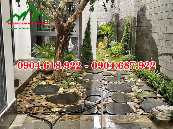 Da-buoc-dao-san-vuon (12)