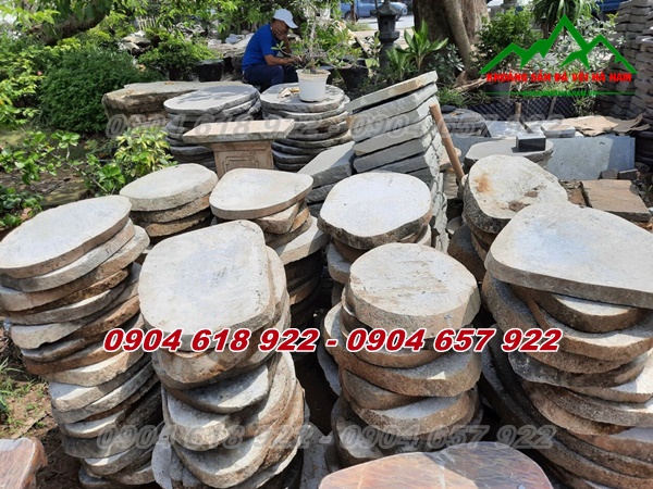 Da-buoc-dao-san-vuon (25)