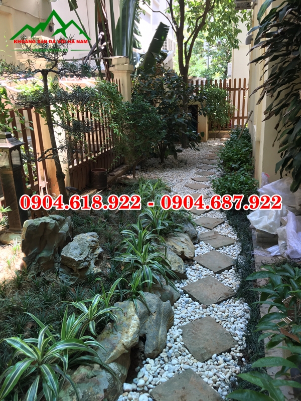 Da-buoc-dao-san-vuon (10)