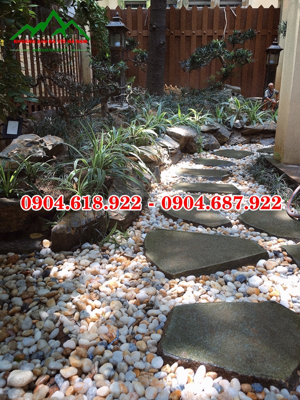 Da-buoc-dao-san-vuon (11)