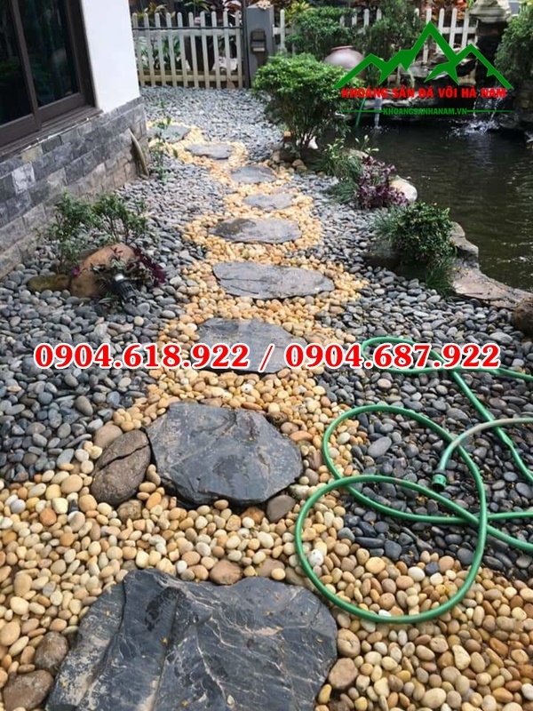 Da-buoc-dao-san-vuon (2)