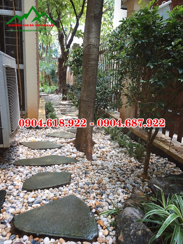 Da-buoc-dao-san-vuon (4)