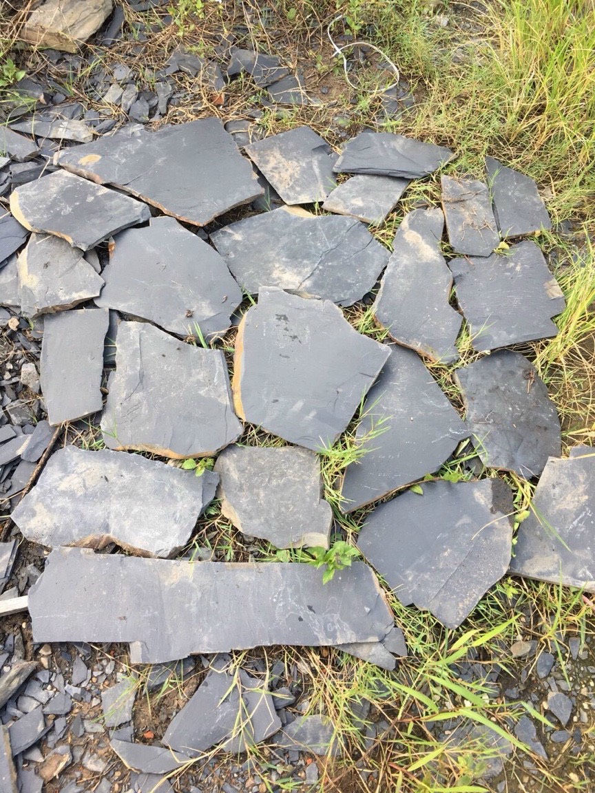 Da-buoc-dao-san-vuon (18)