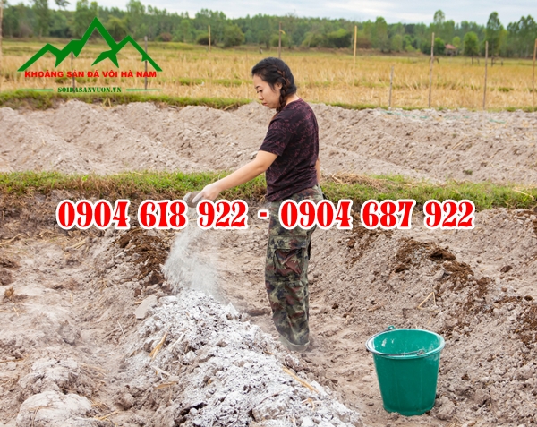 Tac-dung-voi-khu-trung-chuong-trai (6)