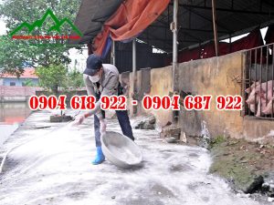 Tac-dung-voi-khu-trung-chuong-trai (7)