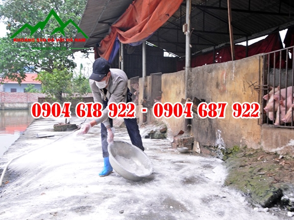 Tac-dung-voi-khu-trung-chuong-trai (7)