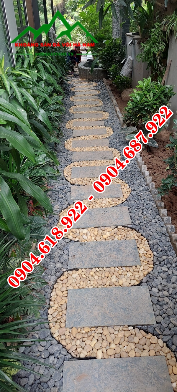 Da-buoc-dao-san-vuon (15)