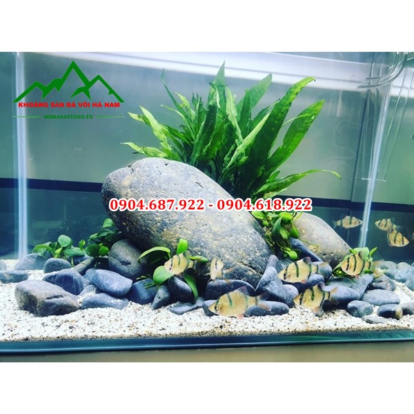 đá cuội đen thủy sinh