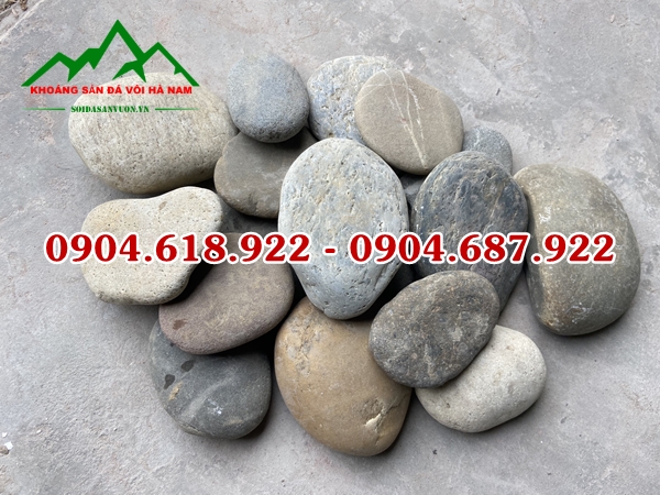 Soi-det-trang-tri (2)