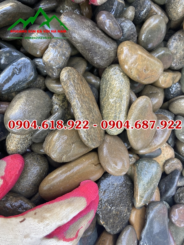 ban-soi-cuoi-mau-tu-nhien-gia-tot-nhat (5)