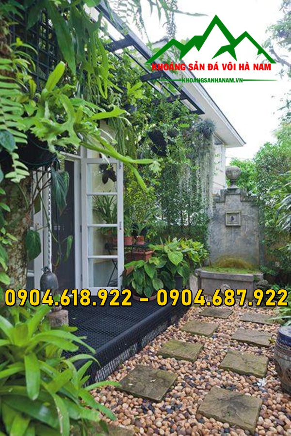 Soi-suoi-tai-Ha-Noi (3)