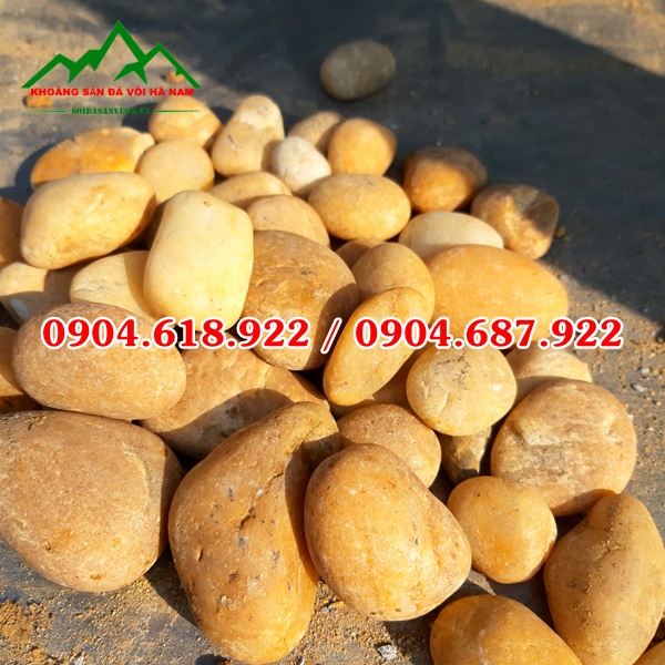 ban-soi-cuoi-mau-tu-nhien-gia-tot-nhat (3)