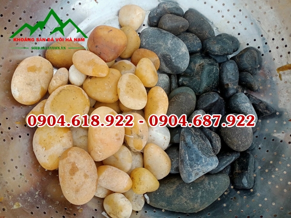 Soi-trang-tri-tai-ha-noi (1)