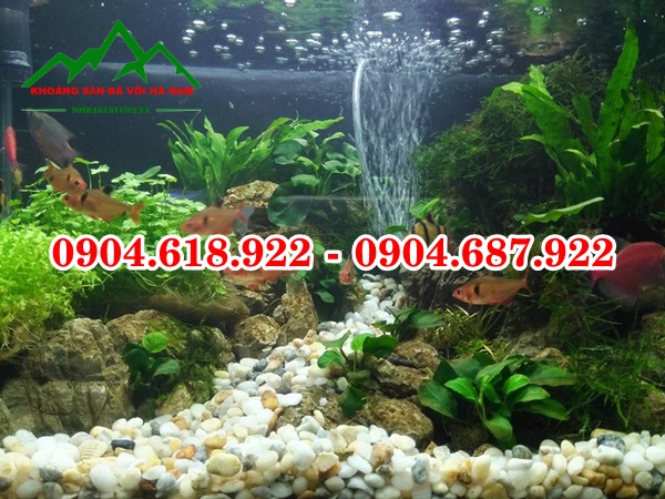 Soi-bien-tu-nhien (7)