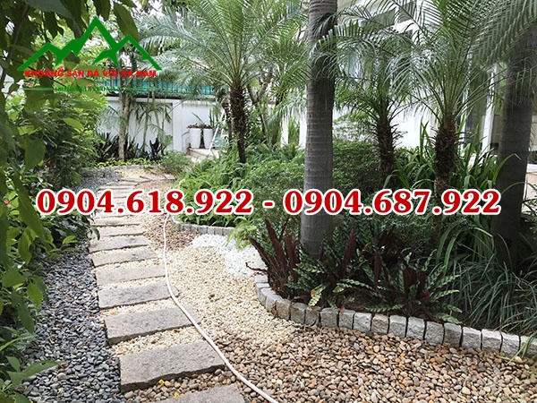 Soi-suoi-tai-Ha-Noi (1)