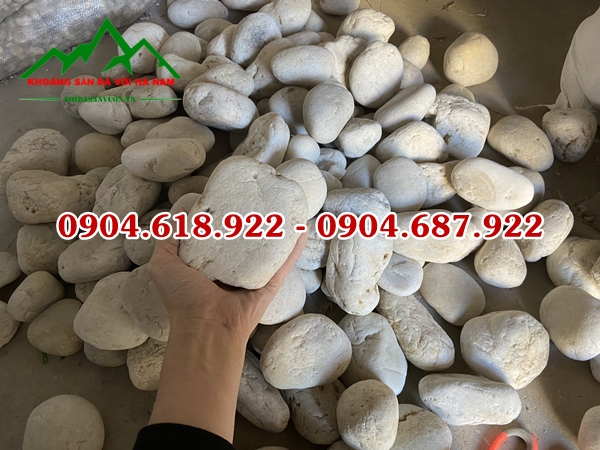 ban-soi-cuoi-mau-tu-nhien-gia-tot-nhat (4)